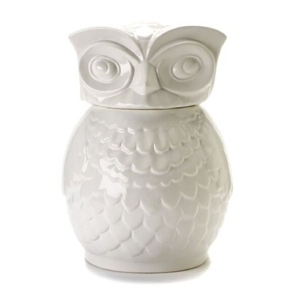 Large White Ceramic Owl Sculpted Cookie Jar w/Removable Lid - Picture 1 of 16